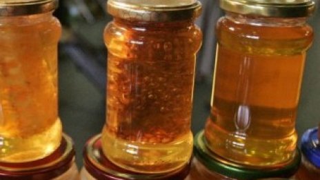 Малки фирми са изключени от поръчки за организиране на биоизложения