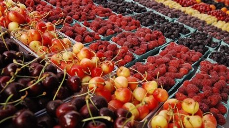 Цените в земеделието спадат с 5,1% в четвъртото тримесечие на 2016 г. 