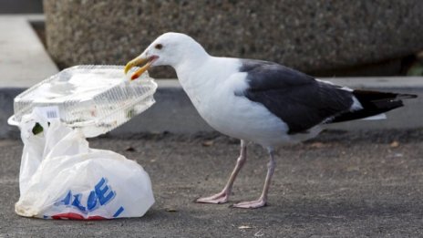 Брюксел предложи драстични мерки срещу пластмасата в морето