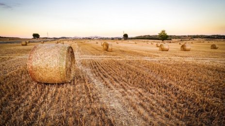 „Агро Финанс“ ще раздаде с 9% по-малък дивидент през тази година