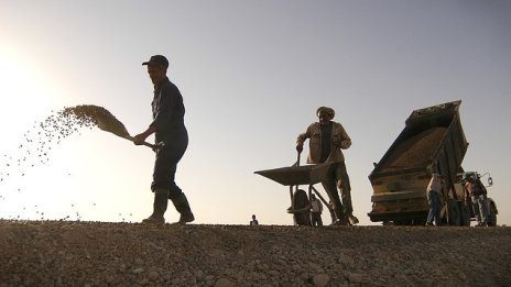 Две министерства бавят адекватната подготовка на кадри в България