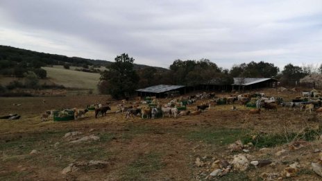 Енергийната ефективност и кръговата икономика вече не са тема табу за микрофермите у нас