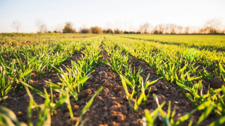 ЕК се отказа от плана да намали употребата на пестициди в ЕС наполовина