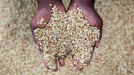 Експерт: Климатичните промени изискват адекватна помощ