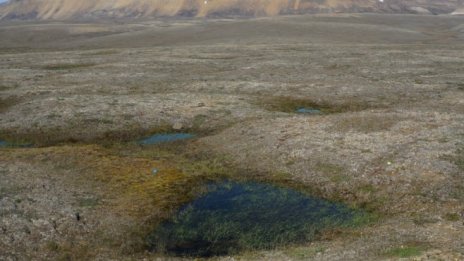 Направиха ли отново компромис с климата страните от ЕС?