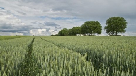 Субсидията за единно плащане на площ е 150,80 лева на хектар