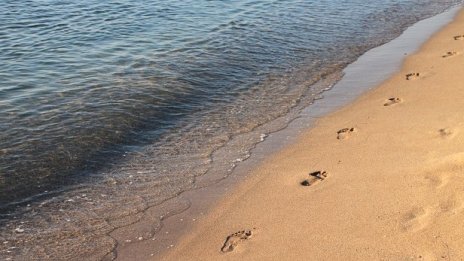 Строителният контрол не установи нарушения на строежа край "Алепу"