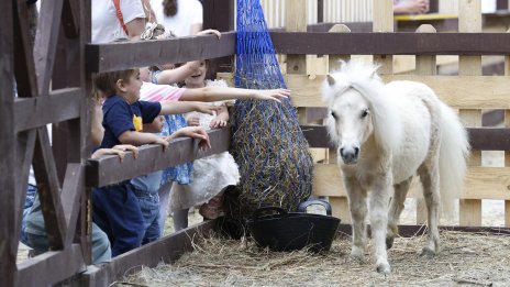 Кадър на деня за 1 юни