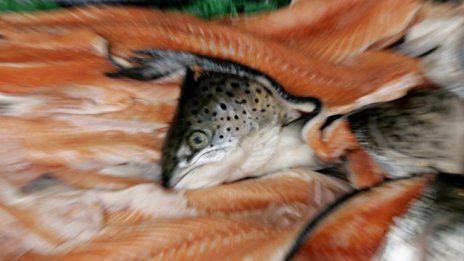 Русия спира вноса на храни и за правителствени нужди