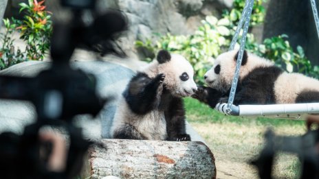 Кадър на деня за 15 февруари