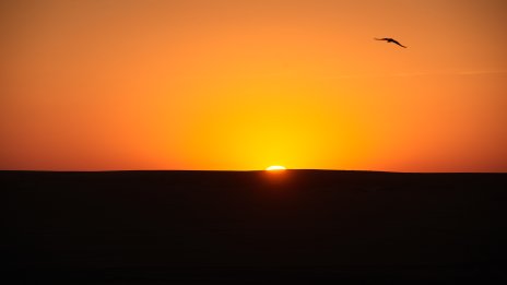 Страната на изгряващите банки