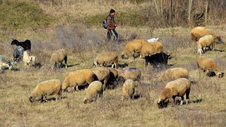 Кристиян Вигенин: Прокуратурата да провери работата на БАБХ 