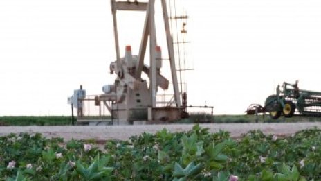 Петролните цени не намират единна посока заради евентуален нов ръст в производството*