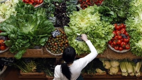 ЕС е внесъл храни за 101 млрд. евро през 2016 г.