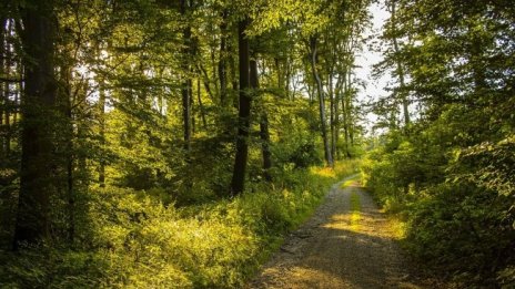 Националните паркове са отворени за туристи, но при нови правила