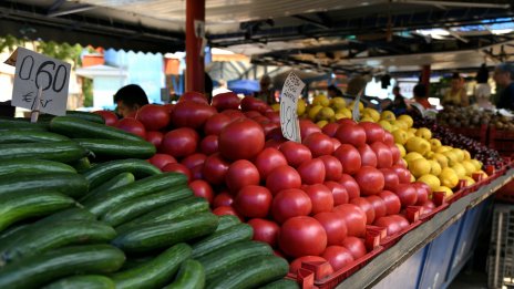 Започват масови проверки на вноса на плодове и зеленчуци