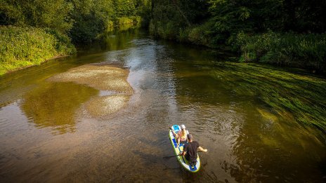 Компаниите имат права на личности в съда – защо не и природата?