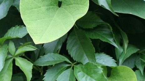 Пет години след приемането му Мирният договор в Колумбия е пред провал