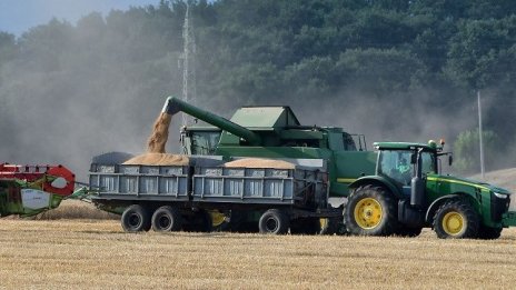 Цената на хлебната пшеница в Добричкия регион продължава да расте
