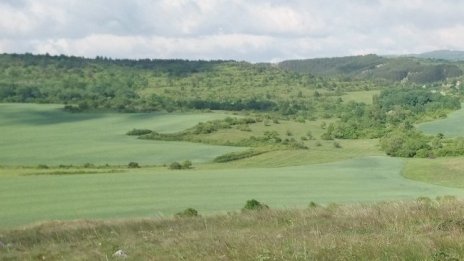 Промените в климата застрашават някои земеделски култури