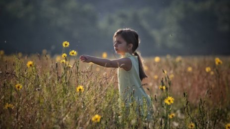 Кадър на деня за 24 юни 