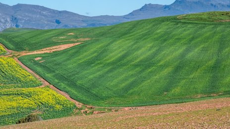 Как достъпът до най-модерните технологии помага на българския агробизнес?