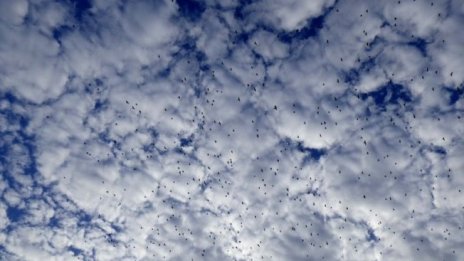 Само една от 15 държави в ЕС спазва стандарта за качество на въздуха