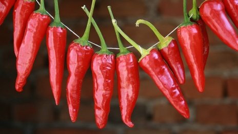 Общини ще изграждат инфраструктура със 125 млн. лева по ПРСР