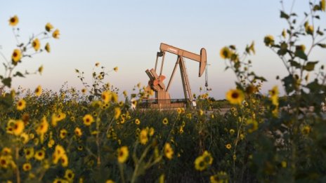 Bloomberg: ОПЕК е постигнала сделка за намаляване на добива на петрол