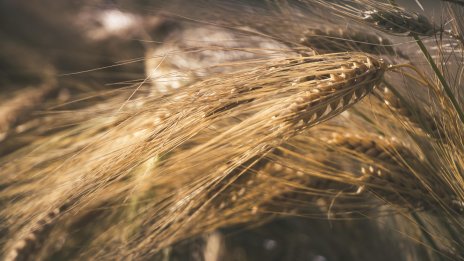 Стоковите пазари по света останаха спокойни през седмицата