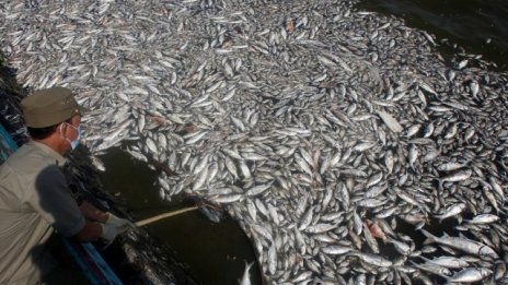 Задържаха директора на ИАРА за злоупотреба с европейски средства