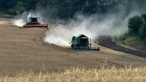 Дъждовното лято вдигна цената на пшеницата