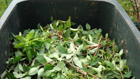 Намаляват изхвърляните от българите отпадъци