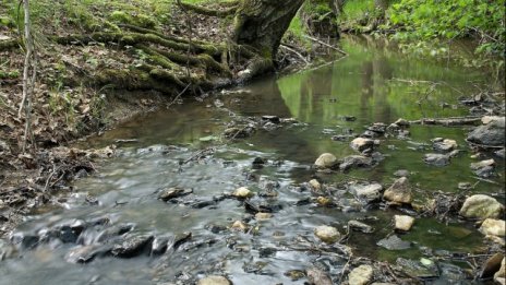 България е на осмо място в ЕС по количества пресни води
