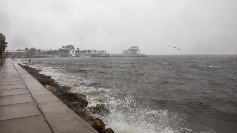Кадър на деня за 9 октомври
