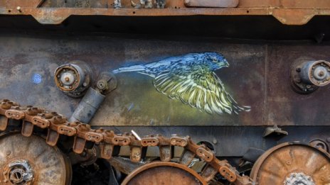 Кадър на деня за 7 юни