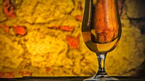 Тенденцията за здравословен живот се отрази и на пивоварите