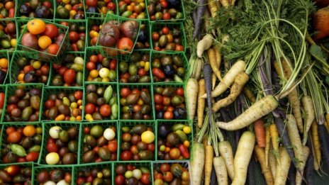 Храните на едро поевтиняваха през седмицата