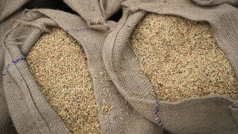 Климатични фактори и субсидии за фермерите в Индия тласкат нагоре цената на ориза