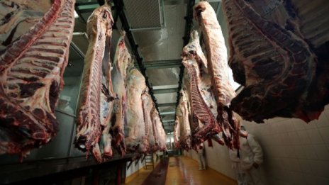 Какво е общото между пазара на петрол и пазара на добитък?