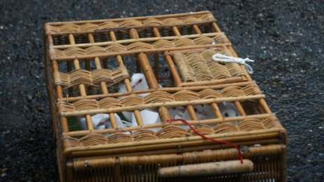 Централните банки трябва да запазят хладнокръвие в борбата с инфлацията