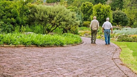 НОИ ще помага при избора на по-благоприятен размер на пенсията 