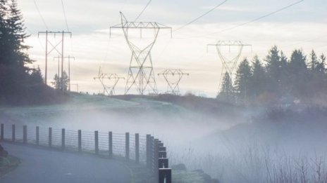 Директорът на НЕК подаде оставка