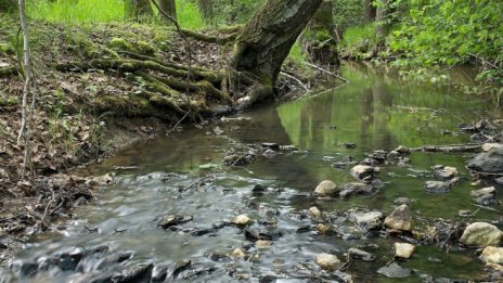 Загубите на вода в България през 2017 г. остават около 60%