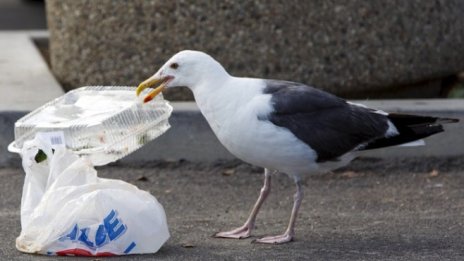Войната срещу пластмасата