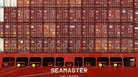 Китай възобновява вноса на австралийска дървесина