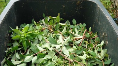 Общините искат да се ограничи поскъпването на такса "смет"