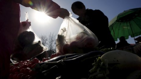 Изсичането на горите е сред най-сериозните екологични проблеми според българите