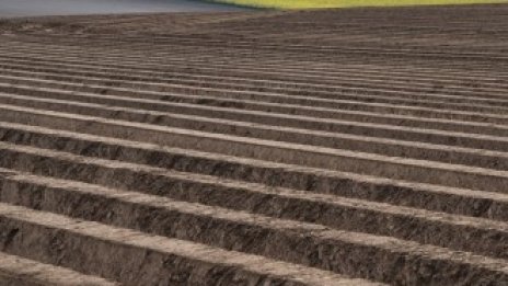 Италия и Нидерландия са страните с най-скъп наем на обработваема земя в ЕС