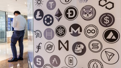 13 млн. мемекойна за година са сигнал за нуждата от регулации